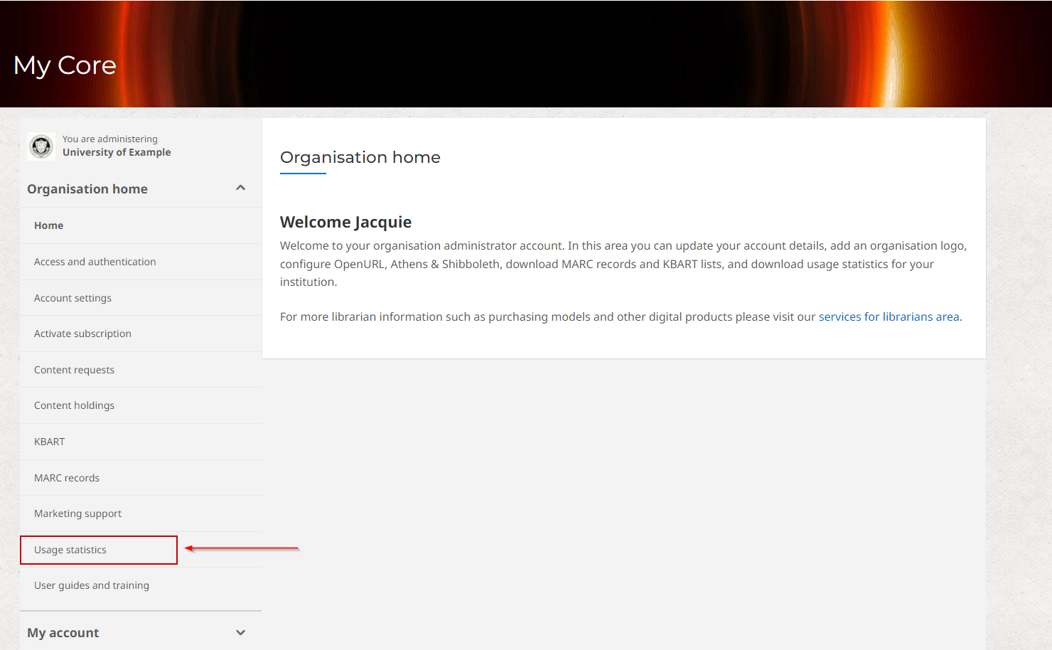 Screenshot showing Usage Statistics tab